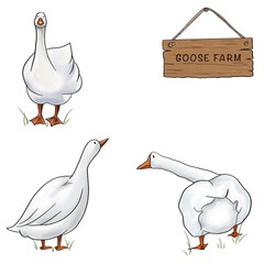 Goose farm. Digital illustration made by hand drawing in procreate isolated on white background