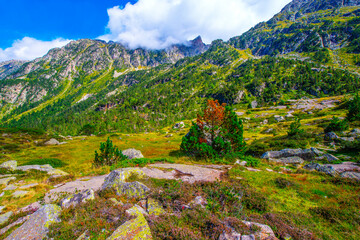 Fototapeta na wymiar Hautes Pyrénées : Lutour Valley