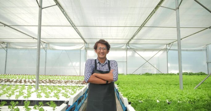 Portrait of Asian male farmers owner successful looking at camera happiness in modern hydroponic vegetable greenhouse farm.