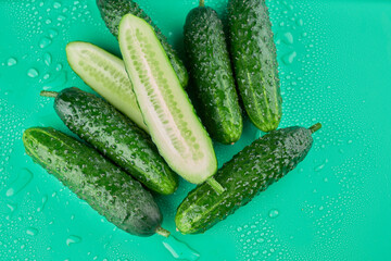 Set of fresh whole and sliced cucumbers on a green background with water drops. Garden cucumber wallpaper backdrop design