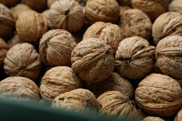 Lots of walnuts in plastic box, close up