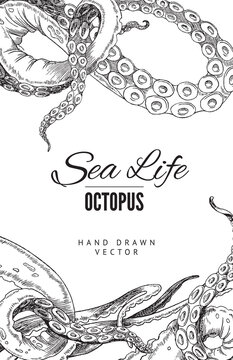 Octopus tentacle banner template in sketch style, vector illustration on white background.