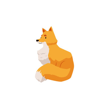 Cute fox character sitting back to viewer, flat vector illustration isolated.