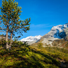Fototapeta premium landscape with sky