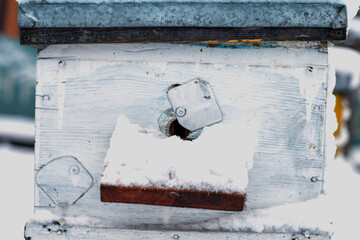 old hive entrance in winter. Colorful hives on apiary in winter stand in snow among snow-covered trees. Hives on apiary in December in Europe. old apiary of multi-hull hives.