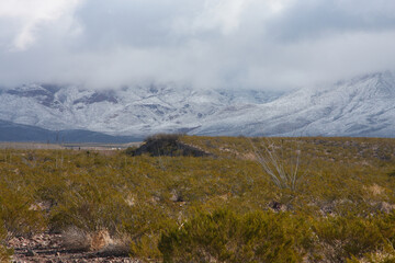 Franklin Mountains on the Westside of El Paso, Texas, covered in snow looking towards Trans Mountain Road