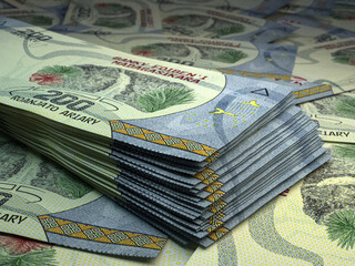 Malagasy money. Malagasy ariary banknotes. 200 MGA ariary bills.
