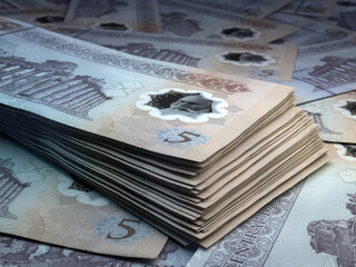 Libyan money. Libyan dinar banknotes. 5 LYD dinars bills. - obrazy, fototapety, plakaty