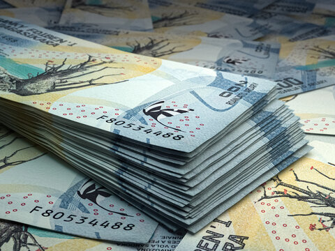 Malagasy money. Malagasy ariary banknotes. 200 MGA ariary bills.