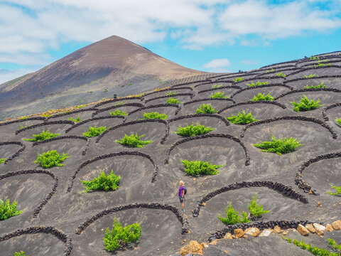 Lanzarote - Wandern zwischen den Weinbergen
