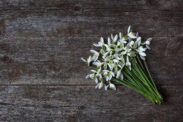 Bouquet of spring flowers of snowdrops on a dark wooden background, space for text. Postcard for congratulations.