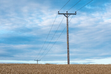 Fototapeta na wymiar Overhead electricity power lines, supported by wooden poles, crossing a farm field in Northumberland, England, UK.