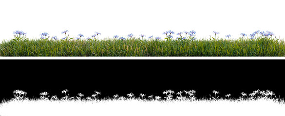 Green grass with Cornflowers a white background with alpha mask that can be used in 3D illustration or graphics program for a transparent background