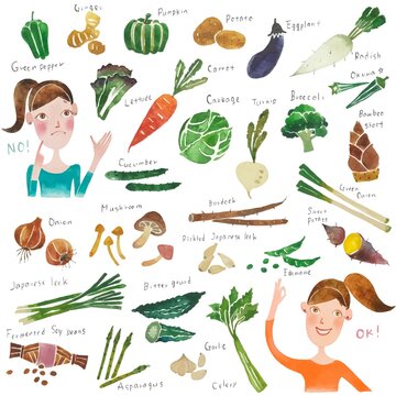 水彩画の人物入り緑黄色野菜や根菜のイラストセットベクター素材