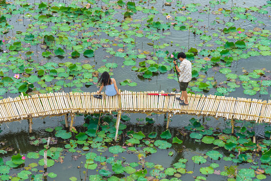 Top view of Asian tourists enjoy taking pictures on bamboo bridge over river with many lotuses. Happiness couple spending time together outside in water nature. Scenery view of people with lotus pond.