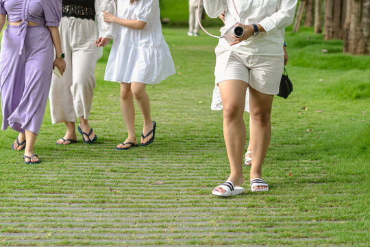 Group of happiness female friends talking and walking along the path of park with tall green trees together. The friendship and fun of female friends spending their free time outdoors together.