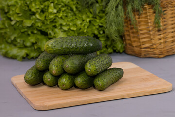 Fresh cucumbers with green salad, on wooden desk