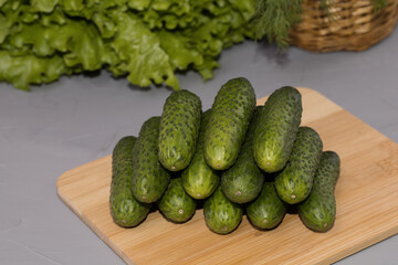 Fresh cucumbers with green salad, on wooden desk