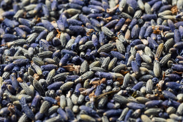 Raw Purple Organic Lavender Spice