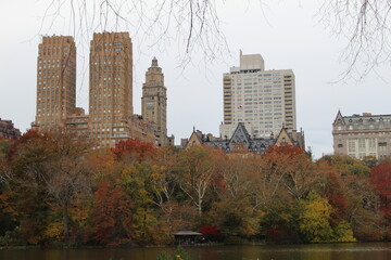 Fototapeta premium central park in autumn
