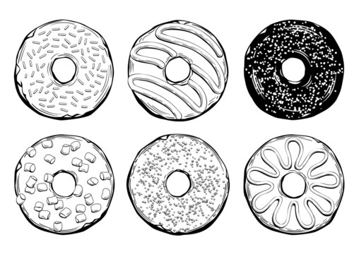 Vector Set of Hand Drawn Illustrations of Donuts. Vintage Style Line Art Drawings of Sweet Doughnuts Isolated on the White Background. Good for One Color Print.