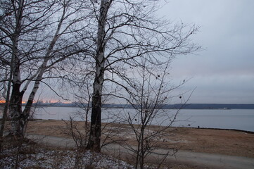 View of the reservoir on an autumn evening. On the horizon beyond the river the outlines of the city. Birch without leaves on an autumn evening against the background of the river.