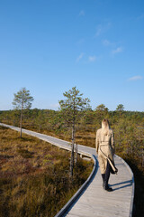 A woman walks along a scenic wooden decking nature trail in Lahemaa National Park in Estonia. The road leads through the Viru peat bog. Travel and exploration. Healthy lifestyle, active rest