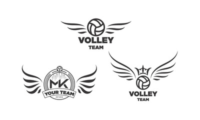 Volley ball team logo