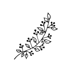 Hand drawn doodle leaf. Vector clipart with branch.