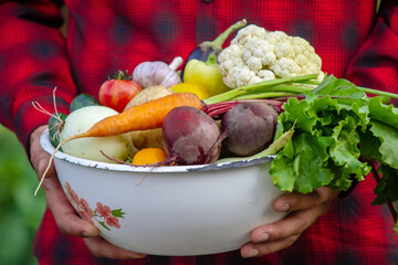 a man holds a bowl of fresh vegetables from the farm in his hands. Nature.