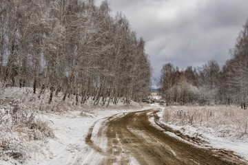 Obraz na płótnie Canvas Autumn landscape with the first snowfall in the Urals (Russia). Birches with loose leaves artistically bent to the road leading to the village. Wet tire tracks stand out in relief against white snow