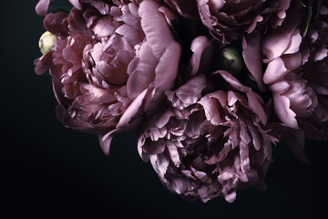 Beautiful Violet peonies bouquet on black. Floral background. Natural flowers pattern
