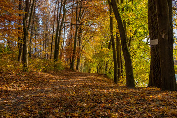 Herbst am Stausee bei Sohland an der Spree
