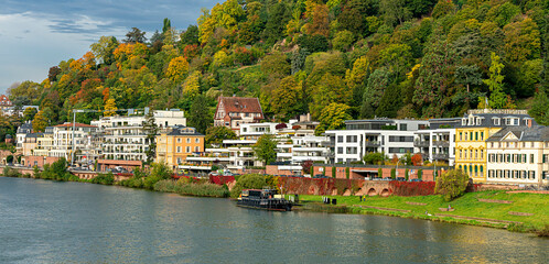 Villen und historische Häuser am Neckar in Heidelberg