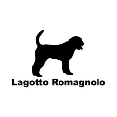 Lagotto Romagnolo