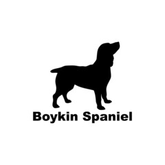 Boykin Spaniel