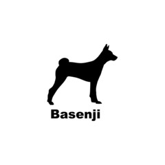 Basenji