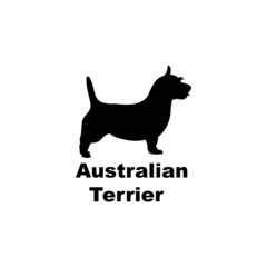 Australian terrier