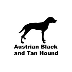 Austrian Black and Tan Hound