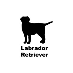 Labrador Retriever.