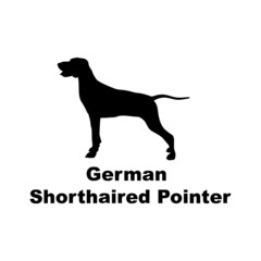 Pembroke Shorthaired pointer