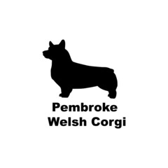 Pembroke Welsh Corgi