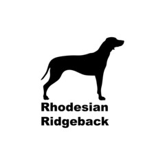 Rhodesian ridgeback