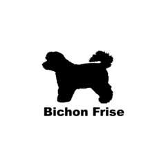 Bichon Frise