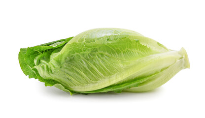 Fresh green cos lettuce isolated on white background.
