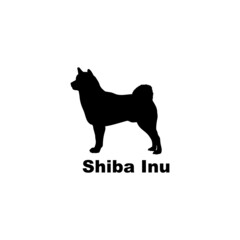Shiba Inu