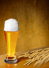 A glass of whiskey or beer with bunch of rye. Traditional alcohol distillery concept