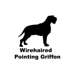 Wirehaired pointing griffon.svg