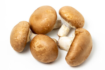 Brown champignons on a white background. Champignon variety. Healthy vegetarian food.