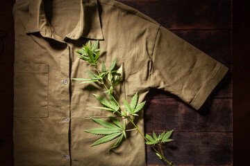 Khaki shirt with a branch of hemp, clothes made of hemp fiber